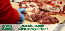 AMESİA KARGO AĞINI GENİŞLETİYOR