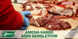 AMESİA KARGO AĞINI GENİŞLETİYOR