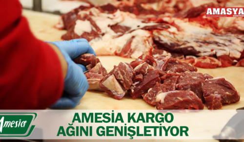 AMESİA KARGO AĞINI GENİŞLETİYOR