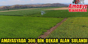 Amasya’da 306 bin dekar alan sulandı
