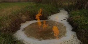 NORMAL BİR ŞEY DEĞİL, BİZE NORMAL GELMİYOR