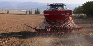 Amasya’da Yerli ve Milli buğday tohumlar toprakla buluştu.