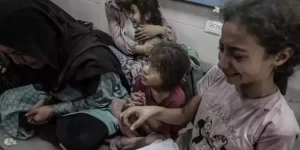 AYD’den dünya basınına çağrı