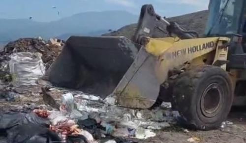 Amasya’da Sahte Gıda Operasyonu 24 İşletmeye Ceza