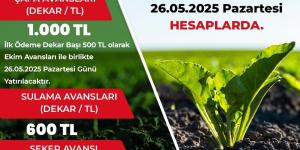 Amasya’da Pancar Çiftçilerine Müjde: Dekar Başına Bin TL Avans Ödemesi