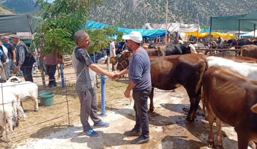 Kurbanlık Fiyatları Belli Oldu: Bu Yıl 3 Milyon 350 Bin Hayvan Kesilecek